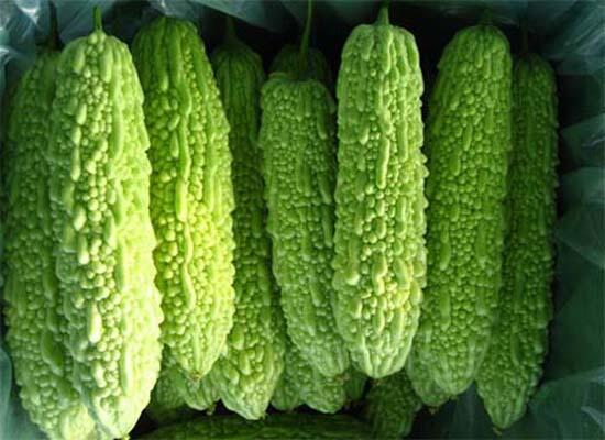 果蔬配送：苦瓜