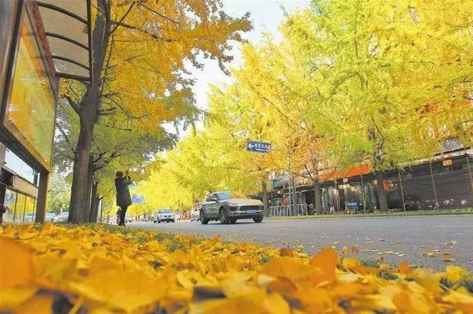 深圳農(nóng)產(chǎn)品配送?中心淺談老年人秋季如何保健