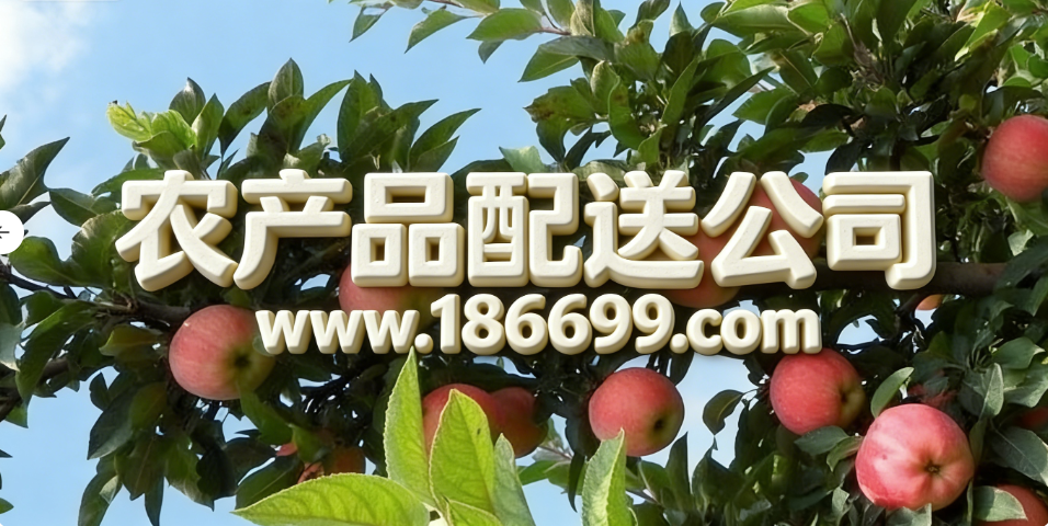 全球蘋果種植面積和產(chǎn)量最多的國家是哪里？