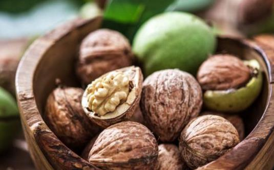 為什么核桃被稱(chēng)為“長(zhǎng)壽果”？東莞生鮮食材配送中心告訴你