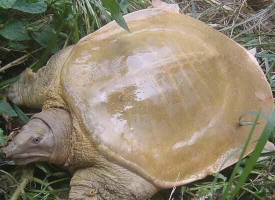 1760257086.jpg tupian_jiayu.jpg