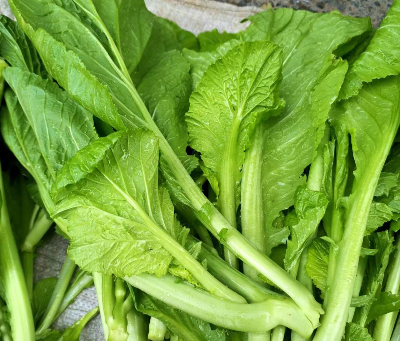 深圳蔬菜配送公司科普：為什么冷凍蔬菜不宜反復(fù)解凍冷凍？