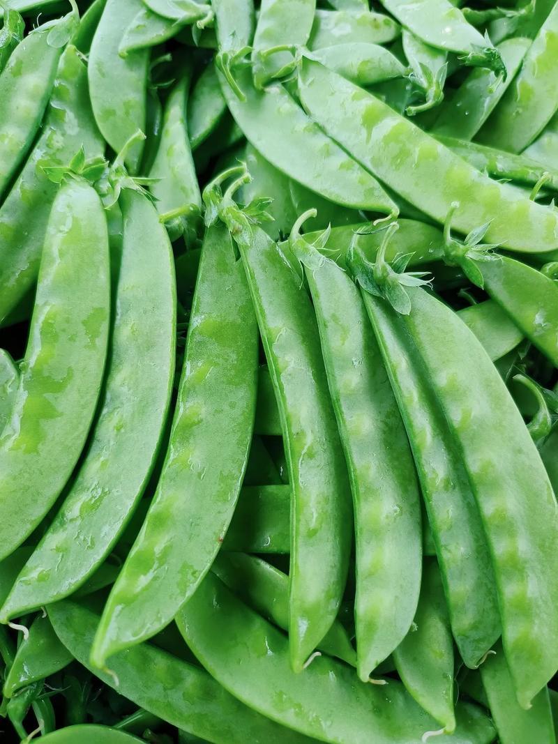 惠州生鮮蔬菜配送中心為您科普荷蘭豆的營養(yǎng)價值