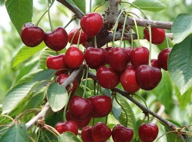 1770902910939340.png c28beaa4-08a5-4a0a-9c2f-d0483a63978c.png